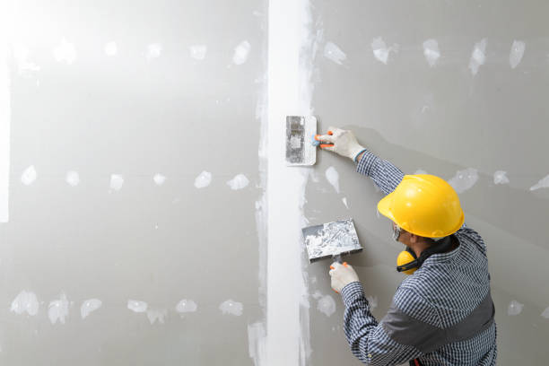 Best Drywall Texturing  in Ridgefield, NJ